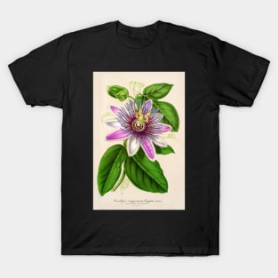 Passion Flower - Passion Vine botanical illustration T-Shirt